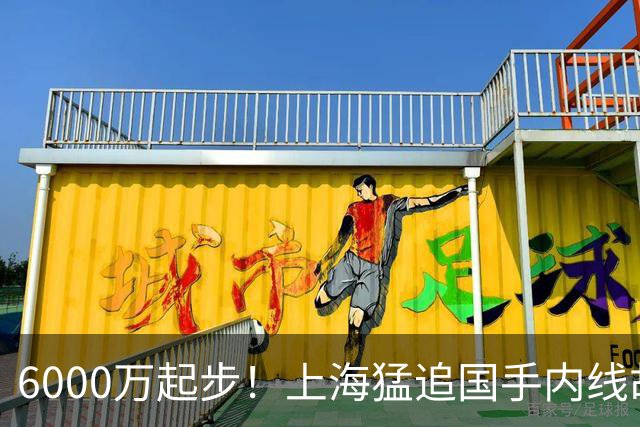 6000万起步！上海猛追国手内线胡金秋，CBA下赛季直接大结局？
